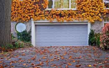 Leaves outside garage - Feature Image