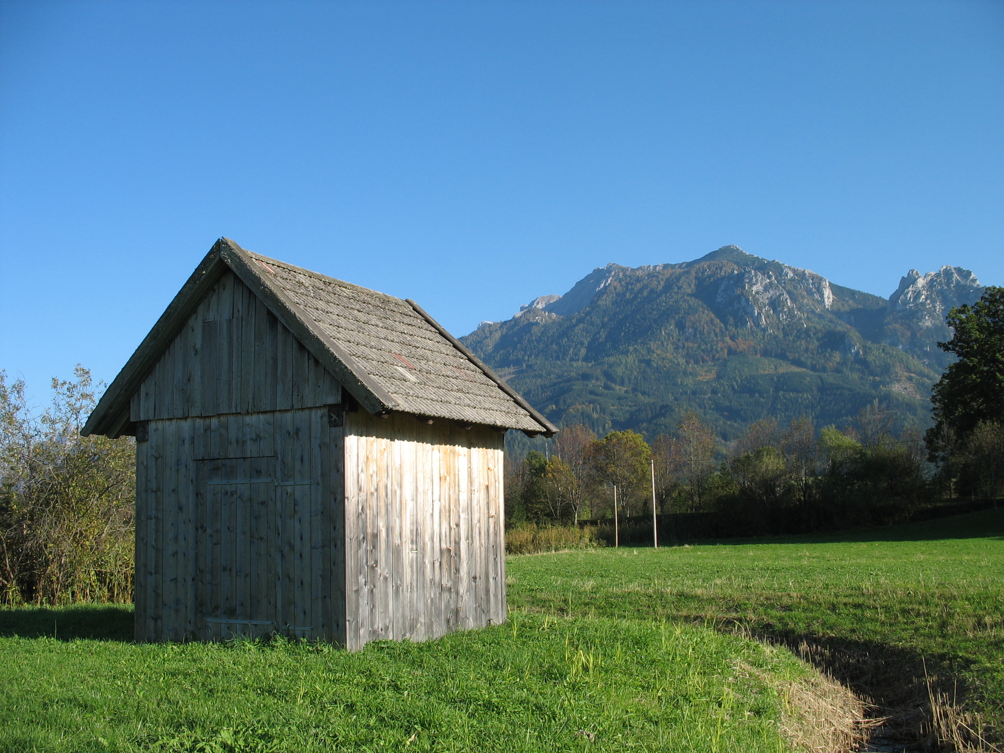 Potting Shed
