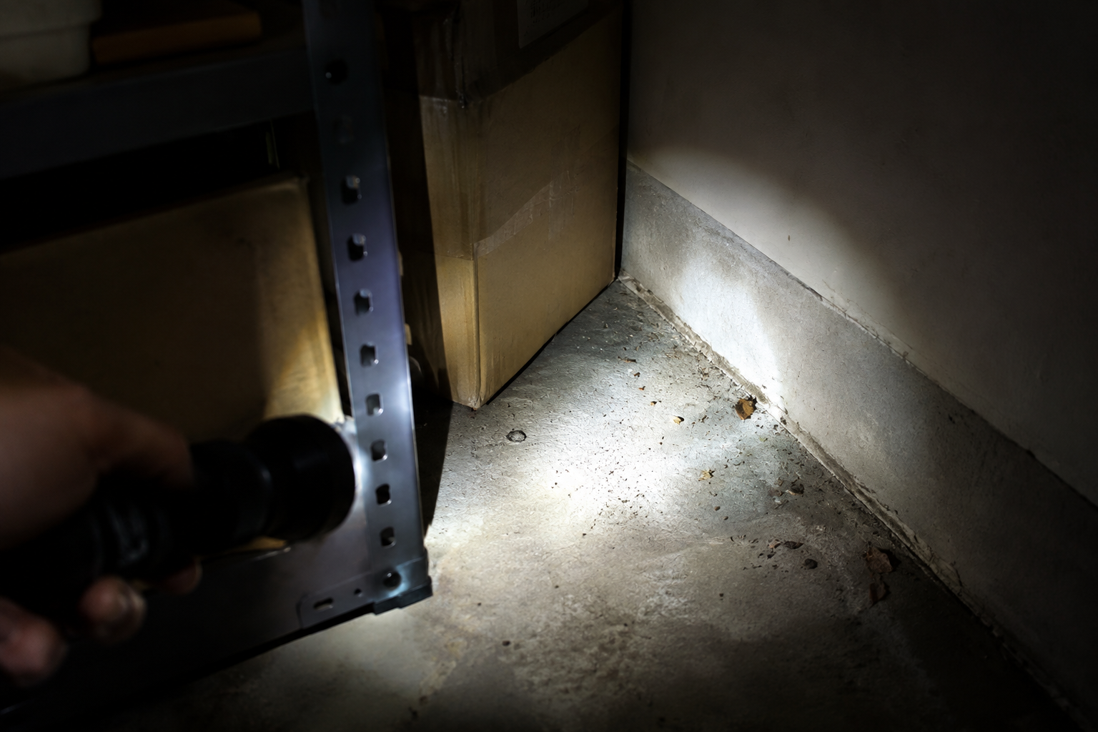 Inspecting a dark garage corner with a flashlight for pest entry points